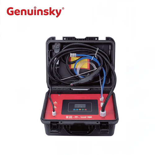Dampfreinigung und Desinfektion All-in-One-Maschine