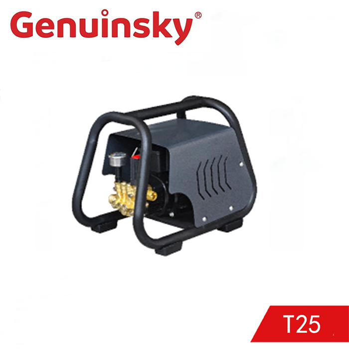 T25 Hochdruckreiniger